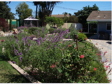 BIC BRAIN INJURY HOME AT BANNER AVENUE